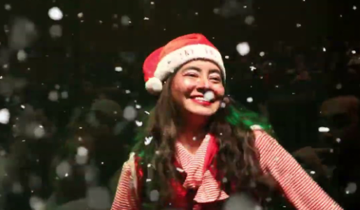 animadora navidad